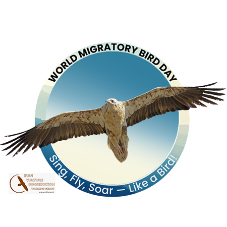 روز جهانی پرندگان مهاجر مبارک باد