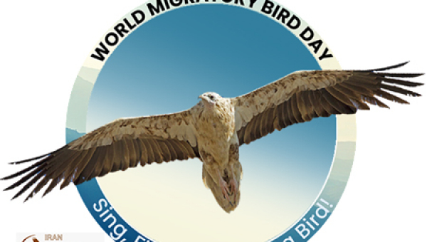 روز جهانی پرندگان مهاجر مبارک باد